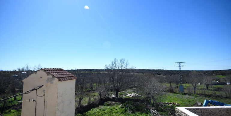 BERROCAL II-4a w