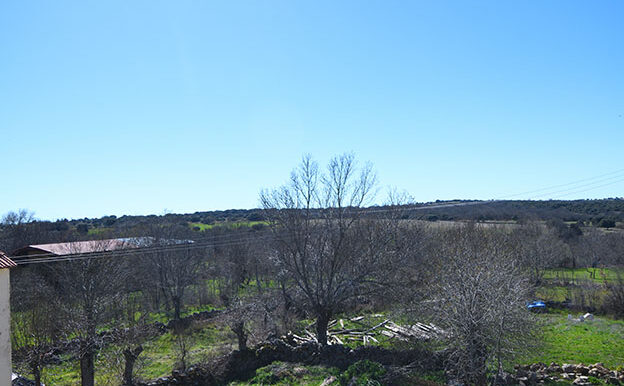 BERROCAL II-4b w