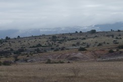 DSCF2405