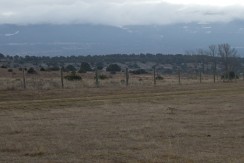 DSCF2413