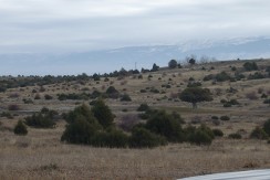 DSCF2417