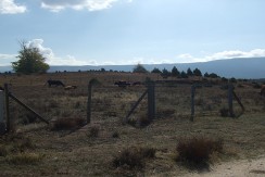DSCF8976