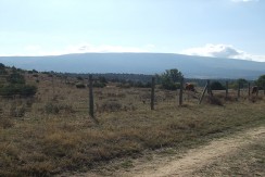 DSCF8982
