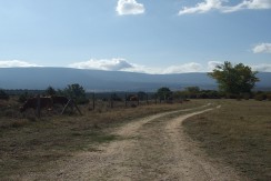 DSCF8987