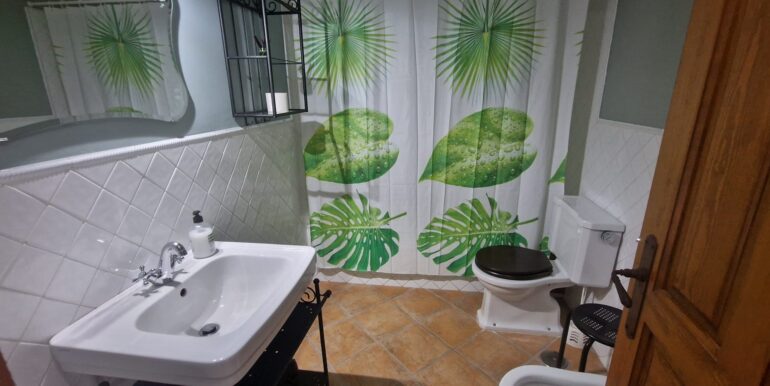 IMG-20250218-WA0029
