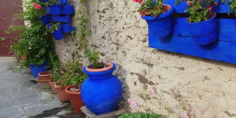 IMG-20250320-WA0030
