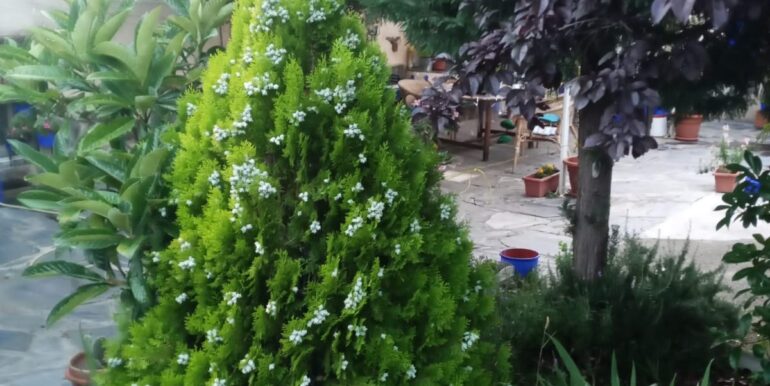 IMG-20250320-WA0031
