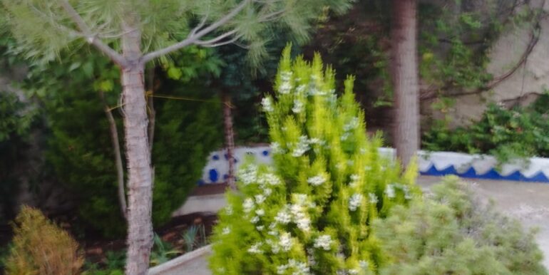 IMG-20250320-WA0033