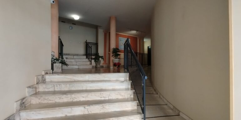 IMG-20250325-WA0020