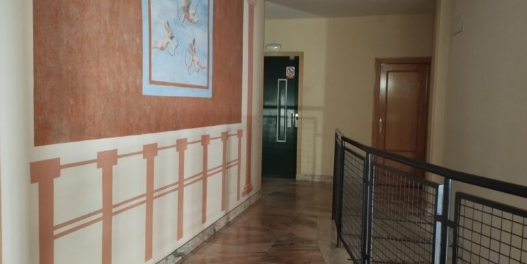 IMG-20250325-WA0023