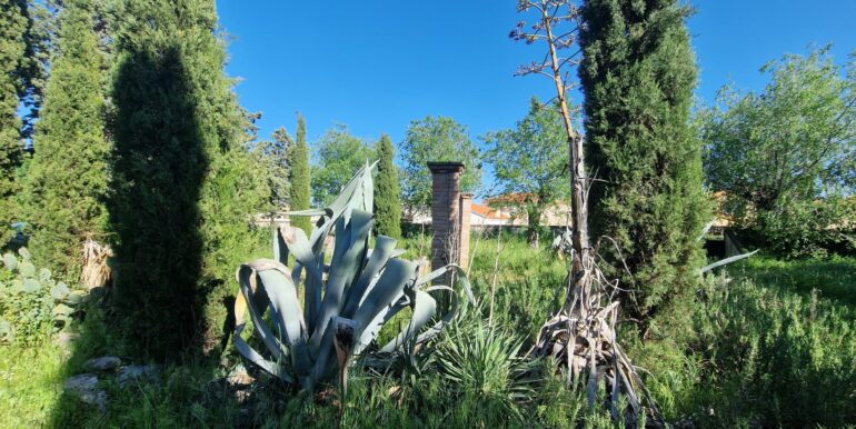IMG-20250505-WA0027
